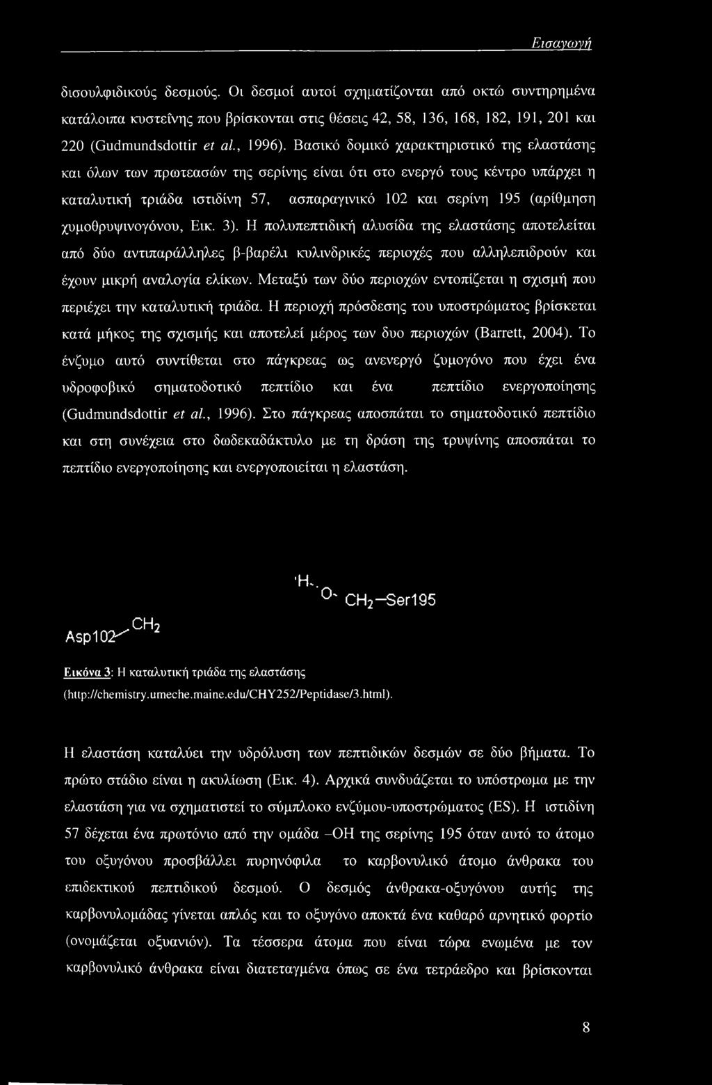 χυμοθρυψινογόνου, Εικ. 3). Η πολυπεπτιδική αλυσίδα της ελαστάσης αποτελείται από δύο αντιπαράλληλες β-βαρέλι κυλινδρικές περιοχές που αλληλεπιδρούν και έχουν μικρή αναλογία ελίκων.