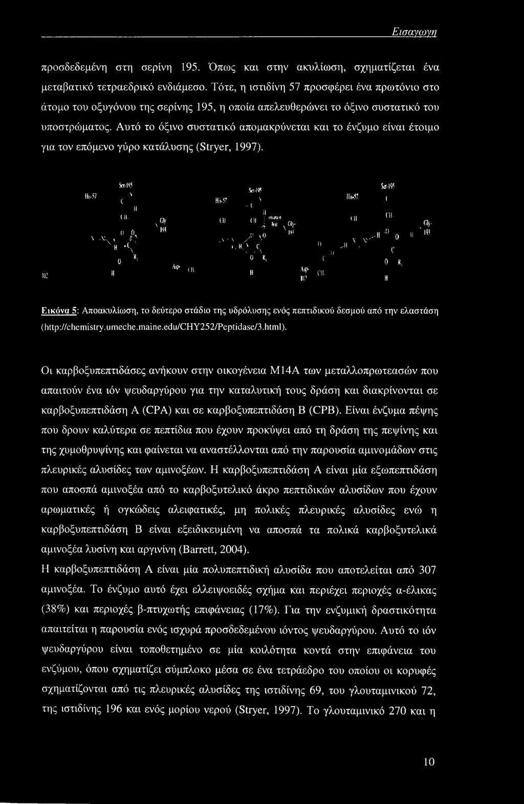 Αυτό το όξινο συστατικό απομακρύνεται και το ένζυμο είναι έτοιμο για τον επόμενο γύρο κατάλυσης (Stryer, 1997). KG Hi,-57 n λ:,., Sci-ISS Ν' C II ΟΙ, ίι 0, //Λ \*.1 Η \ ο *' Η Ον ' ιοί.if (Η.