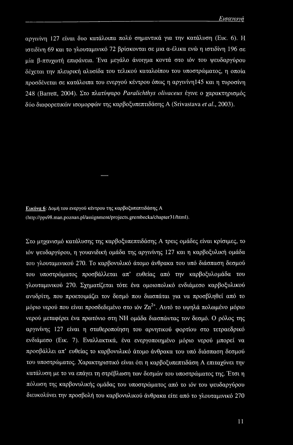 τυροσίνη 248 (Barrett, 2004). Στο πλατύψαρο Paralichthys olivaceus έγινε ο χαρακτηρισμός δύο διαφορετικών ισομορφών της καρβοξυπεπτιδάσης A (Srivastava et al., 2003).