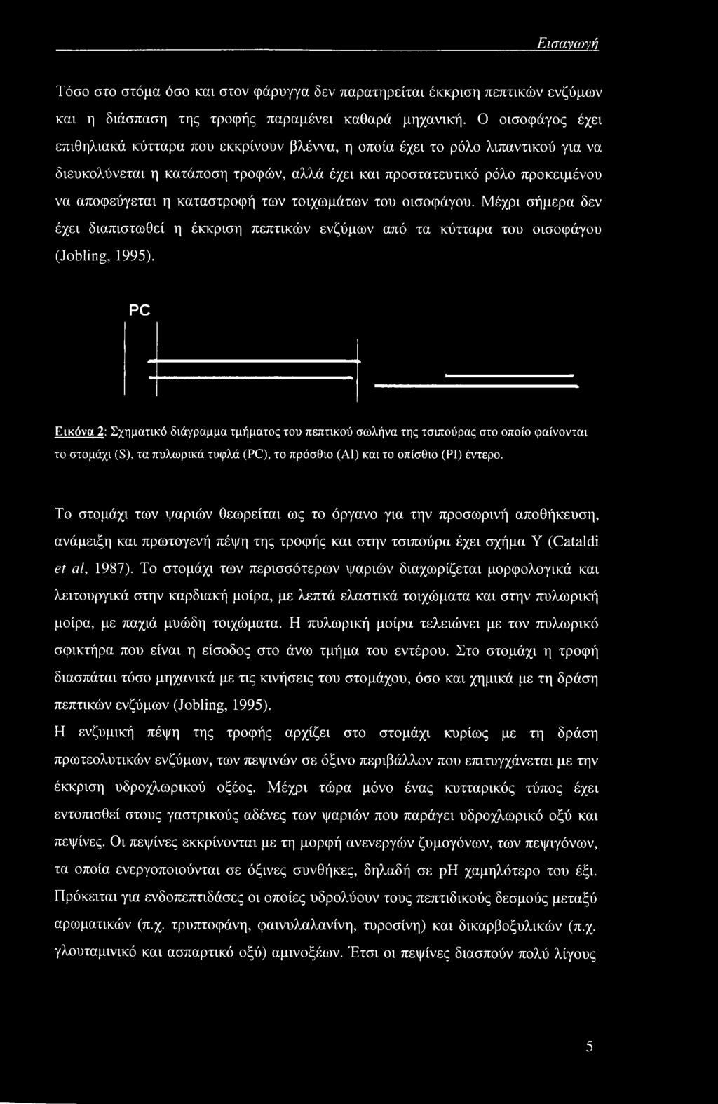 καταστροφή των τοιχωμάτων του οισοφάγου. Μέχρι σήμερα δεν έχει διαπιστωθεί η έκκριση πεπτικών ενζύμων από τα κύτταρα του οισοφάγου (Jobling, 1995).