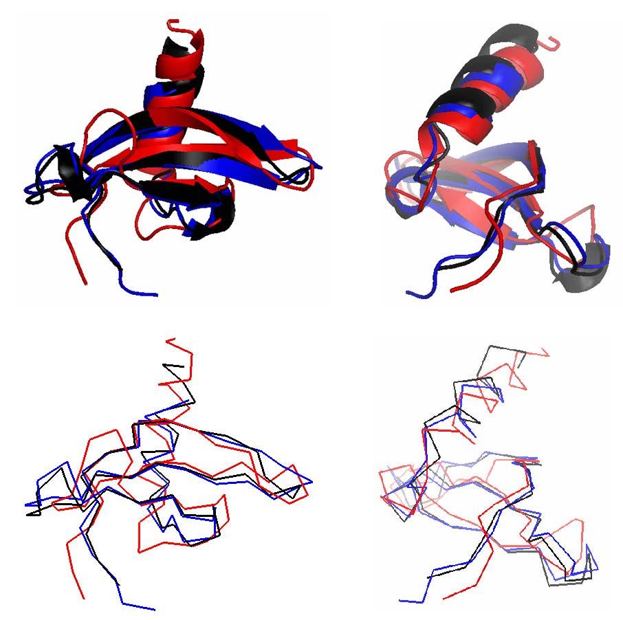 ΚΕΦΑΛΑΙΟ 5. ΣΥΖΗΤΗΣΗ Σε σήµα κατατεθέν των chromodomain και αναπόσπαστο χαρακτηριστικό για την αναγνώριση µεθυλιωµένων καταλοίπων λυσινών ιστονικών ουρών έχει αναδειχθεί ο αρωµατικός κλωβός.