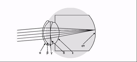 Σχήμα 1: Σχηματική αναπαράσταση του οπτικού συστήματος του οφθαλμού σε εγκάρσια τομή. α, β: πρόσθια και οπίσθια επιφάνεια του κερατοειδούς αντίστοιχα, γ: ίριδα.