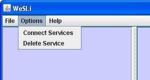 Load menu και web services list Options menu: Το µενού αυτό αποτελείται από δύο βασικές λειτουργίες, τις connect services και delete services.