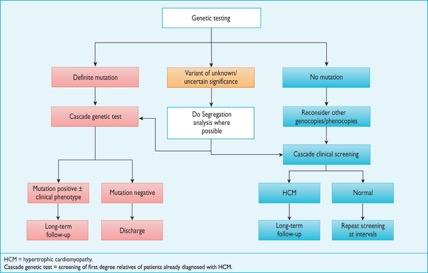 Genetic testing is recommended in patients fulfilling diagnostic criteria for HCM, when it enables cascade genetic screening of their relatives.