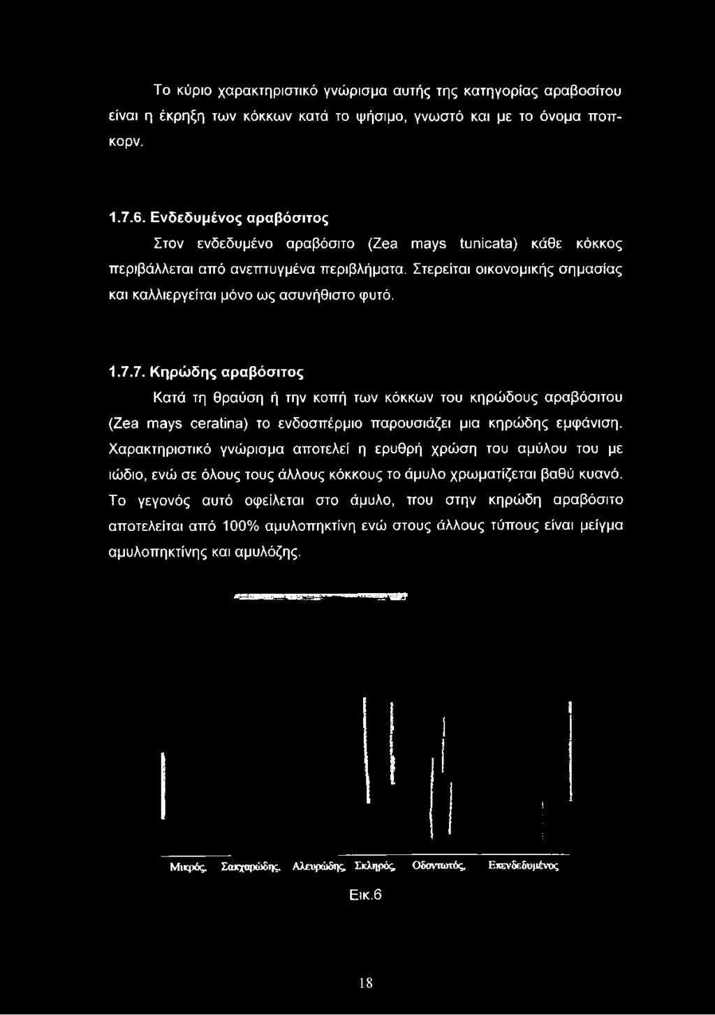 7. Κηρώδης αραβόσιτος Κατά τη θραύση ή την κοπή των κόκκων του κηρώδους αραβόσιτου (Zea mays ceratína) το