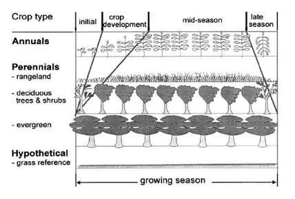 γιατί καθώς οι καλλιέργειες αναπτύσσονται, χαρακτηριστικά όπως το ύψος αυτών, το ποσοστό της φυτοκάλυψης και κατ επέκταση η έκταση του γυμνού εδάφους, μεταβάλλονται με αποτέλεσμα τη διακύμανση και