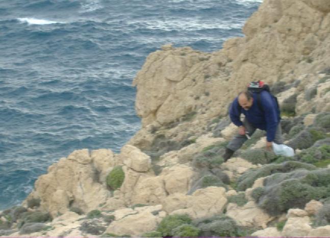 ΧΗΜΙΚΗ-ΔΙΑΤΡΟΦΙΚΗ ΣΥΣΤΑΣΗ- ΙΔΙΟΤΗΤΕΣ ΠΙΝΑΚΑΣ(3.