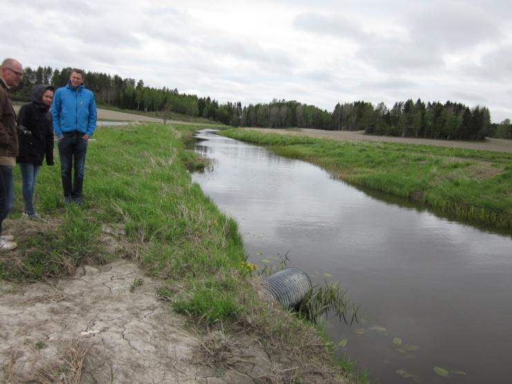 large «wetland filter»