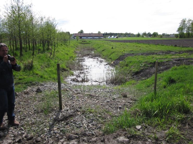 Farm 2 - Fiulstad Farm - Nutrient Control - Constructed wetland Farm