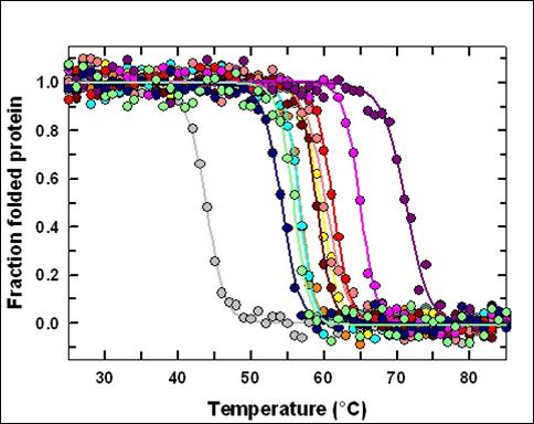 ΠΑΡΑΔΕΙΓΜΑ Μετουσίωση (denaturation)