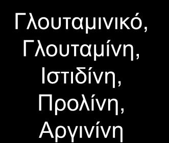 2 C 2 Ισολευκίνη, Λευκίνη Τρυπτοφάνη Ακετυλο CoA C 2