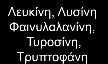 Ακετοακετυλο- CoA Λευκίνη, Λυσίνη Φαινυλαλανίνη,