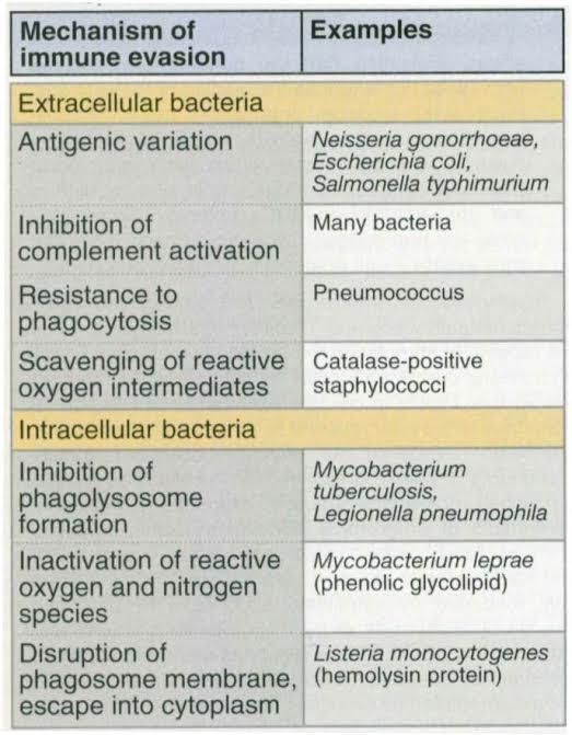 τρόποι διαφυγής των βακτηρίων από την ανοσοπάντηση του ξενιστή εξωκυττάρια γενετική μεταβολή επιφανειακών Ag αναστολή δράσης του C αντίσταση στη φαγοκυττάρωση εξουδετέρωση