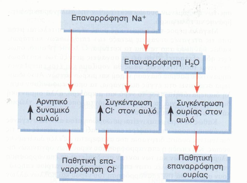 Παθητική Μεταφορά