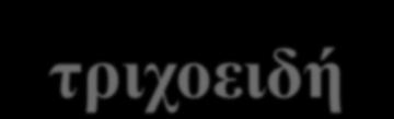 Ρύθμιση των φυσικών δυνάμεων στα περισωληναριακά τριχοειδή Pc: Eπαναρρόφησης αντιστάσεων στο προσαγωγό & απαγωγό αρτηριόλιο αρτηριακής πίεσης Πc: Eπαναρρόφησης συγκέντρωση πρωτεϊνών στο πλάσμα