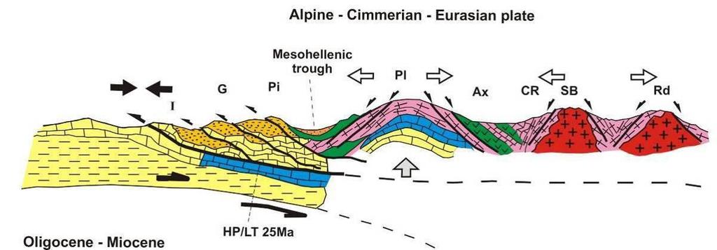 Σχήμα 3.3.3: Τομή που αναπαριστά τη γεωδυναμική εξέλιξη των Ελληνίδων κατά τη διάρκεια Ολιγοκαίνου - Μειώκαινο.(Μουντράκης 1988). 3.4 Γεωλογία της περιοχής μελέτης (λεκάνη Φλώρινας Πτολεμαΐδας- Σερβίων).