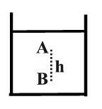 ΘΕΜΑΤΑ Β Β1.1 Ανοικτό και ακίνητο κυβικό δοχείο ακμής h είναι γεμάτο με υγρό πυκνότητας ρ. Η δύναμη που δέχεται η βάση του δοχείου είναι α. F ρgh 3 β. F p atm ρgh 3 γ. F p atm h 2 ρgh 3 Β1.