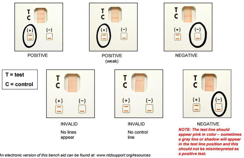 Immunochromatographic test (ICT) Interpretation of results Ανίχνευση ειδικών