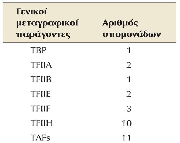 H πρόσδεση της RNA πολυμεράσης ΙΙ στον κεντρικό υποκινητή πραγματοποιείται με τη συνδρομή των γενικών μεταγραφικών παραγόντων, οπότε σχηματίζεται το προεναρκτήριο σύμπλοκο.