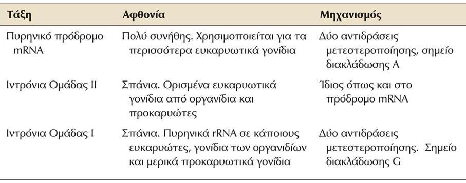 Αυτοσυρραφή του RNA (RNA Self-splicing) Στα ευκαρυωτικά κύτταρα έχουν παρατηρηθεί και άλλοι τρόποι συρραφής εκτός αυτού που περιλαμβάνει τη συγκρότηση του σωματίου συρραφής.
