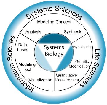 Systems Biology Μελέτη πολύπλοκων βιολογικών διαδικασιών ως