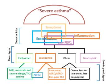 Οι Φαινότυποι είναι οι υπότυποι του άσθματος με βάση τα κλινικά χαρακτηριστικα.