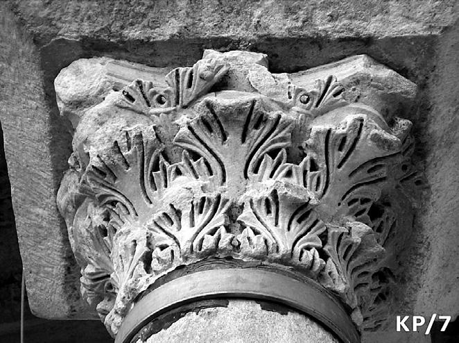 Το ζεύγος των κάτω λοβών κάθε φύλλου απολήγει σε τρεις γλωσσίδες, το μεσαίο ζεύγος σε τέσσερις, ενώ ο κορυφαίος λοβός θα ήταν τριμερής με δύο ελεύθερες πλευρικές γλωσσίδες.