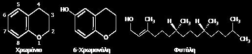 Σχήμα 2. 2: Βασικές χημικές ομάδες της δομής των τοκοφερολών Κοινό χημικό χαρακτηριστικό των τοκοφερολών (α-, β-, γ- και δ-τοκοφερόλη) είναι η ύπαρξη μια ομάδας χρωμανίου (chromane)( Σχήμα 2.