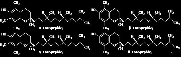 (phytyl tail), στη θέση 2.