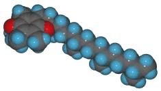 αυτό του οποίου η στερεοχημική διαμόρφωση έχει ιδιαίτερη σημασία ως προς την ενεργότητα των τοκοφερολών είναι εκείνο της θέσης 2 της ομάδας της χρωμανόλης.