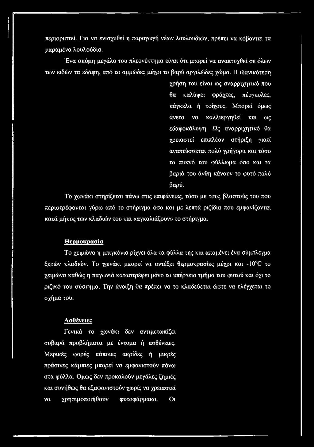 Η ιδανικότερη χρήση του είναι ως αναρριχητικό που θα καλύψει φράχτες, πέργκολες, κάγκελα ή τοίχους.