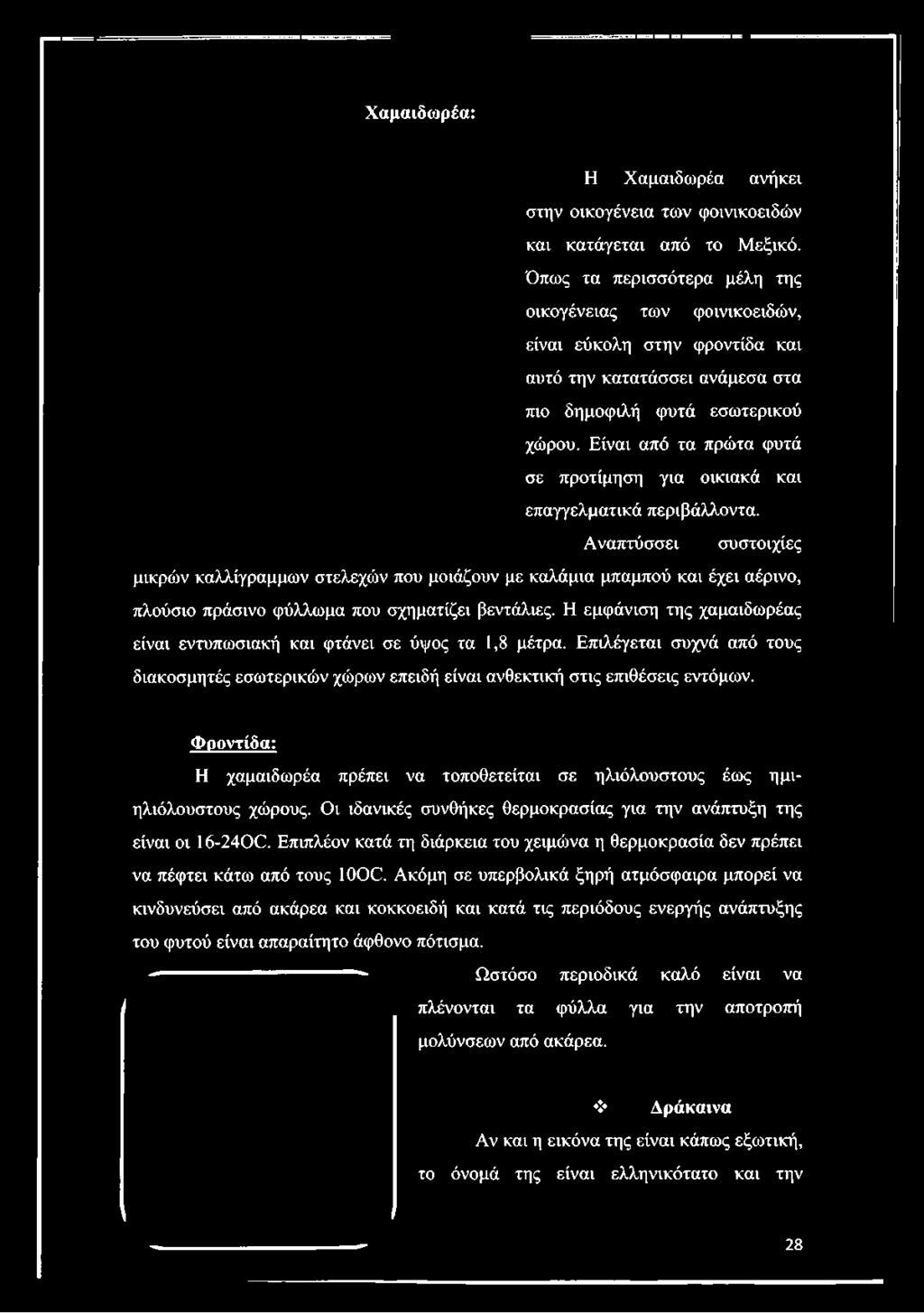 Είναι από τα πρώτα φυτά σε προτίμηση για οικιακά και επαγγελματικά περιβάλλοντα.