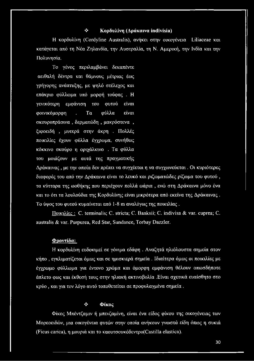 Τα φύλλα είναι σκουροπράσινα, δερματώδη, μακρόστενα, ξιφοειδή, μυτερά στην άκρη. Πολλές ποικιλίες έχουν φύλλα έγχρωμα, συνήθως κόκκινο σκούρο η οριχάλκινο.