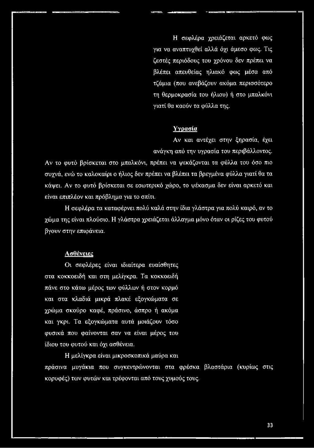 Η σεφλέρα χρειάζεται αρκετό φως για να αναπτυχθεί αλλά όχι άμεσο φως.