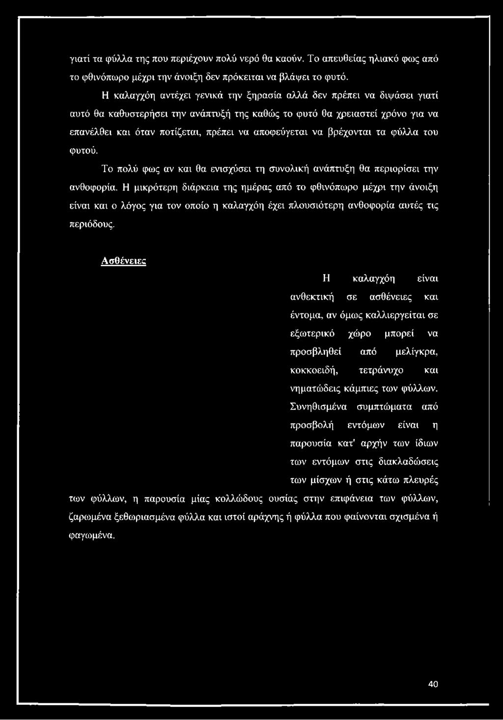να αποφεύγεται να βρέχονται τα φύλλα του φυτού. Το πολύ φως αν και θα ενισχύσει τη συνολική ανάπτυξη θα περιορίσει την ανθοφορία.
