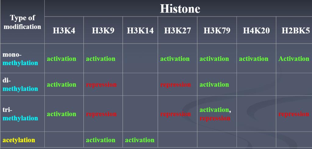 Επιγενετικές τροποποιήσεις των