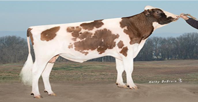 ΤΜΒΑΣΙΚΟ ΠΕΡΜΑ HOLSTEIN PAYOFF RED 1HO11616 APRILDAY SAVE PAYOFF-RED-ET Ηκεξνκελ. γέλλεζεο: 16/04/14 Reg.