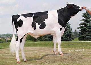 ΤΜΒΑΣΙΚΟ ΠΕΡΜΑ HOLSTEIN RENEGADE 1HO11863 CO-OP RENEGADE-ET Ηκεξνκελ. γέλλεζεο: 10/03/2013 Reg.