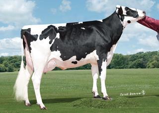 5 1253f 3.3 918p lbs. Παππούρ από μηηέπα: MAPLE-DOWNS-I G W ATWOOD Γιαγιά από μηηέπα: DEERVUE-ACRES ROBIN CRI-ET Γηαθξίζεηο: VG-85, VG-MS, DOM 1-10 3x 365d 33,140m 4.7 1563f 3.