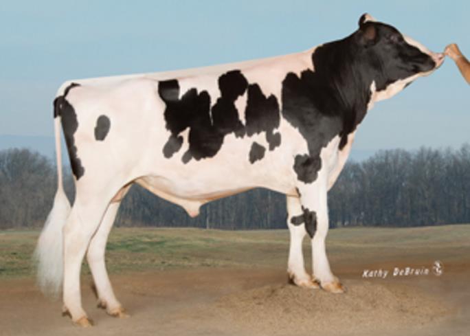 ΤΜΒΑΣΙΚΟ ΠΕΡΜΑ HOLSTEIN FORTUNA ΠΡΟΕΛΕΤΗ ΚΑΝΑΔΑ 1HO10847 FARNEAR-TBR-BH FORTUNA-ET Ηκεξνκελ. γέλλεζεο: 16/12/2011 Reg.