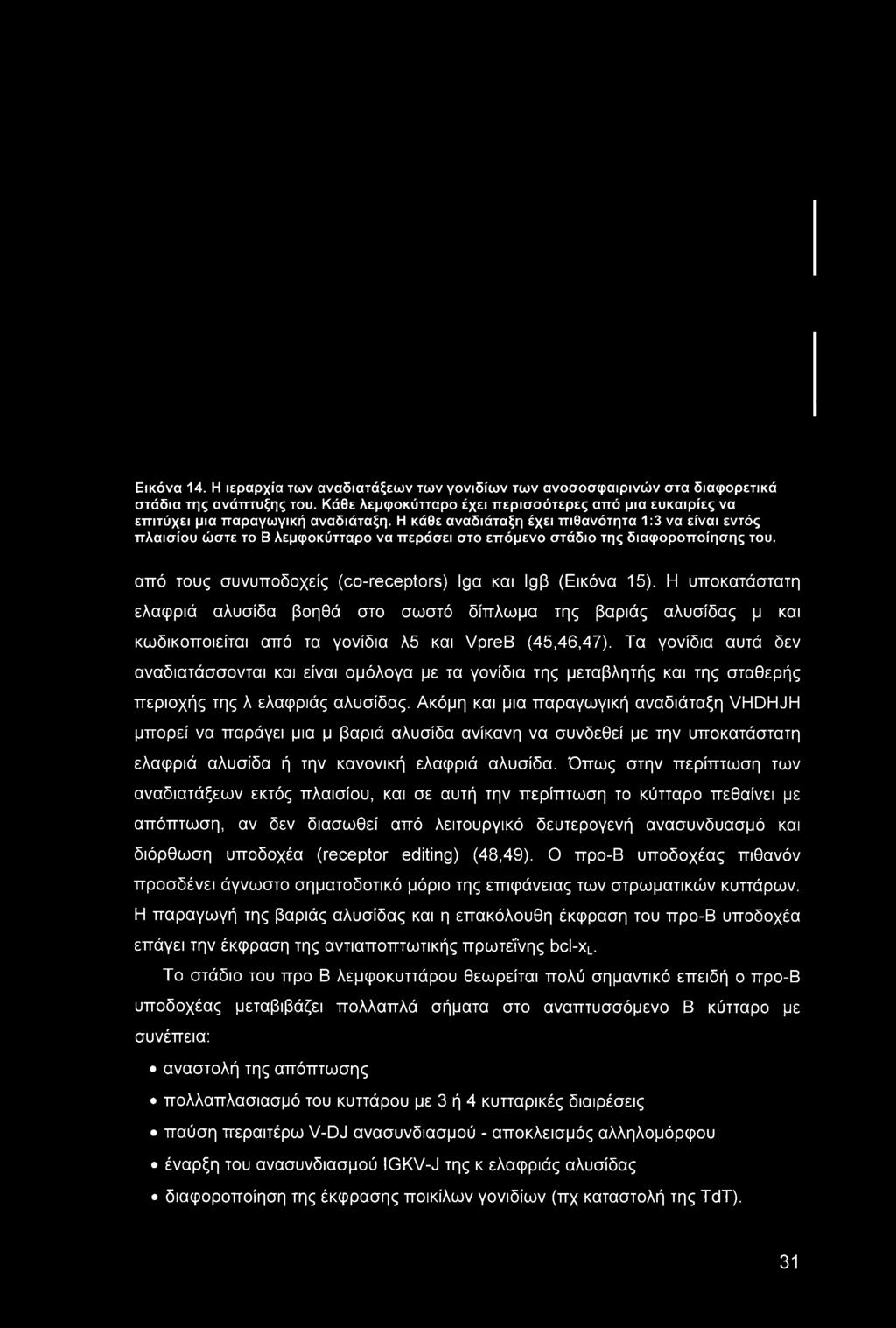 Η κάθε αναδιάταξη έχει πιθανότητα 1:3 να είναι εντός πλαισίου ώστε το Β λεμφοκύτταρο να περάσει στο επόμενο στάδιο της διαφοροποίησης του. από τους συνυποδοχείς (co-receptors) Iga και IgP (Εικόνα 15).