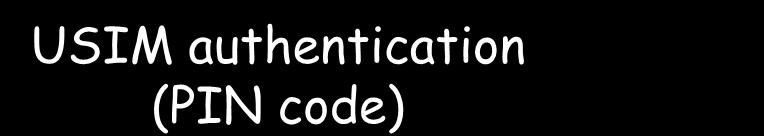 Network authentication Ciphering (air interface) Ciphering (air interface)