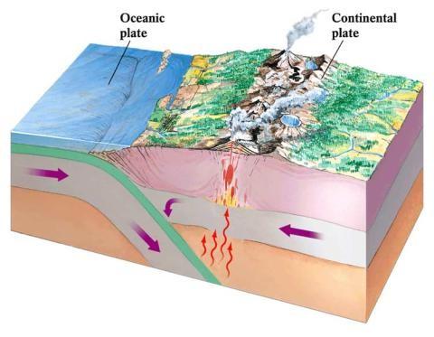 σημαντική τεκτονική δραστηριότητα Ομαλή μετάβαση από τον Ηπειρωτικό στον Ωκεάνιο φλοιό Ενεργό Ηπειρωτικό Περιθώριο ή