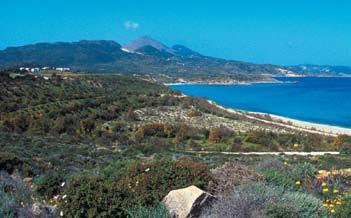 αποτελεσμάτων μέσω μετρήσιμων δεικτών σε κάθε ετήσιο απολογισμό του Συνδέσμου.