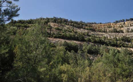 // Περιβάλλον Αποκαταστάσεις Ο όμιλος LAFARGE έχει μεγάλη εμπειρία στη διαχείριση του περιβάλλοντος και της βιοποικιλότητας, λειτουργώντας 200 εξορυκτικές δραστηριότητες, σε διάφορες περιοχές της