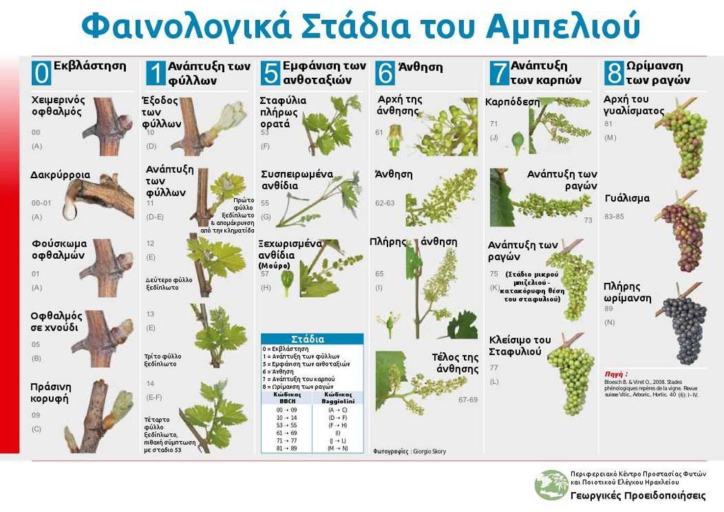 Γεωργικές Προειδοποιήσεις