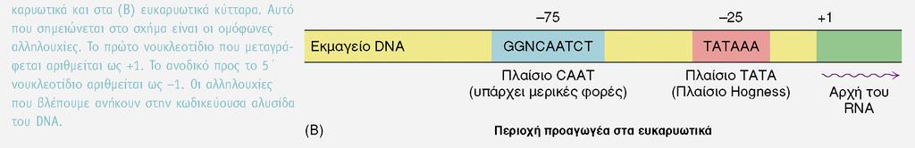 KPHTHΣ H ΜΕΤΑΓΡΑΦΗ ΑΡΧΙΖΕΙ