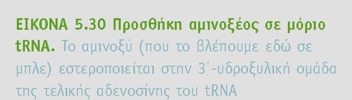 BIOXHMEIA, TOMOΣ I ΠANEΠIΣTHMIAKEΣ EKΔOΣEIΣ KPHTHΣ TΟ ΑΜΙΝΟΞΥ ΜΕΤΑΦΕΡΕΤΑΙ ΣΕ