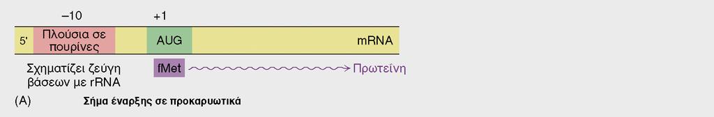 BIOXHMEIA, TOMOΣ I ΠANEΠIΣTHMIAKEΣ EKΔOΣEIΣ KPHTHΣ ΤΟ ΑΓΓΕΛΙΑΦΟΡΟ