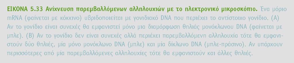 BIOXHMEIA,